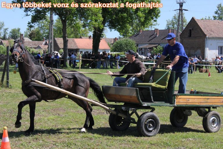 Nagy családi nap