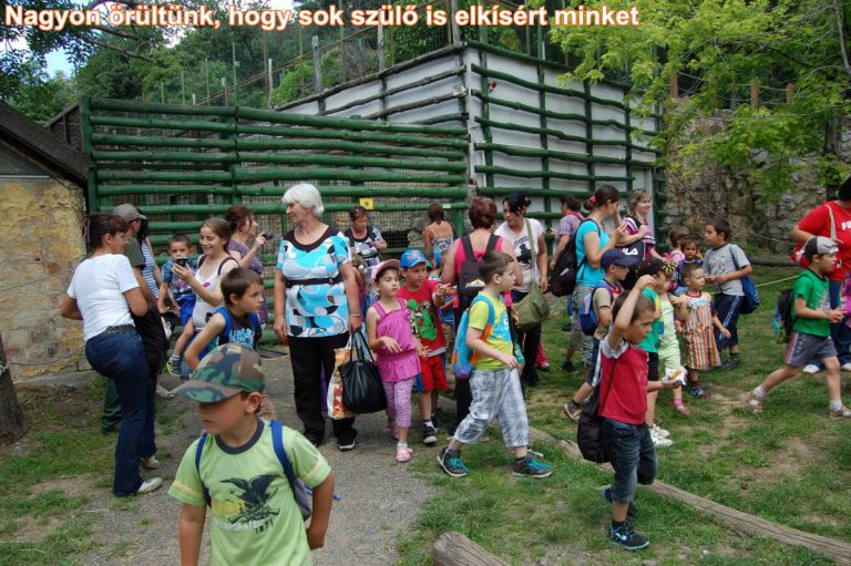 Kirándultak az óvodások