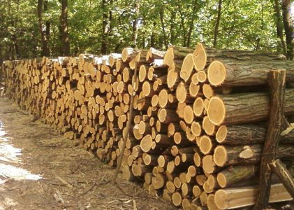 A szociális tűzifa támogatásról