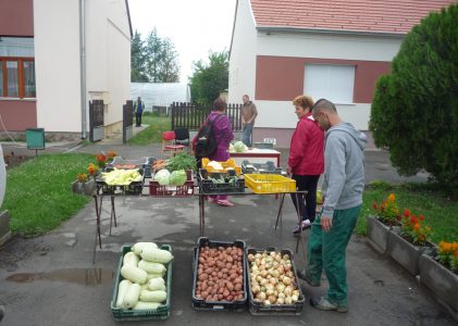 Diákmunka és mezőgazdasági program