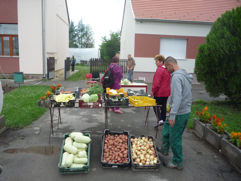 Diákmunka és mezőgazdasági program