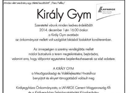 Helyzet 2014-11