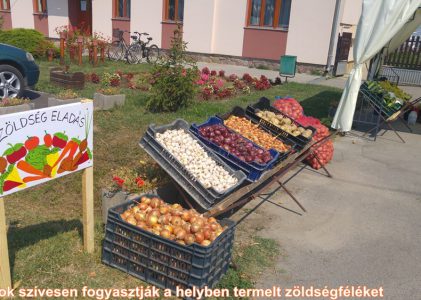 Mezőgazdasági program