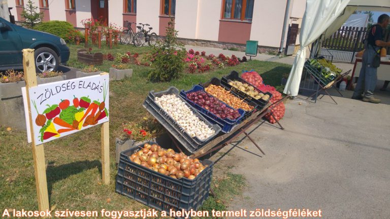 Mezőgazdasági program