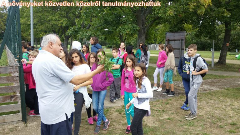 Erdei iskola