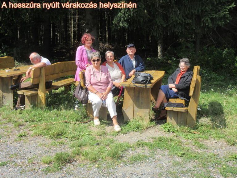 Csúcsra értek a Nyugdíjasok