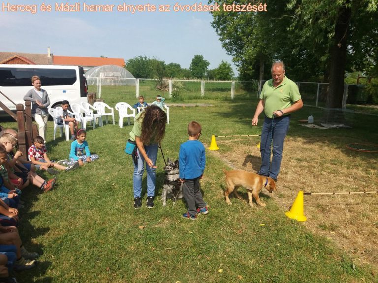 Állatos délelőtt az óvodában