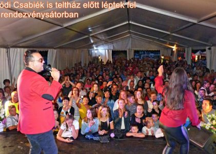Falunap 2019