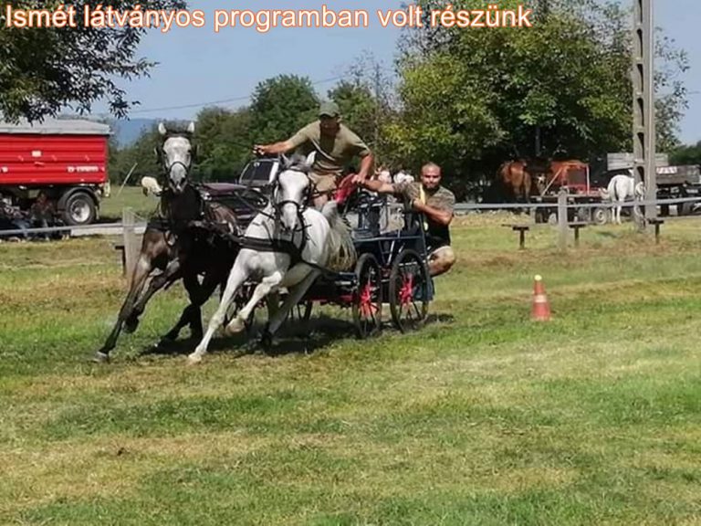 Fogathajtás Királyegyházán